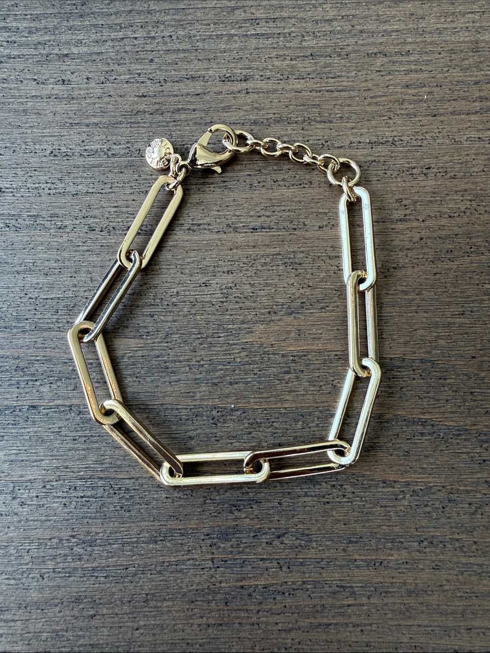Gold Link Chain Bracelet